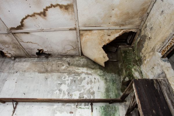 Cost of Water Damage Service in Orange
