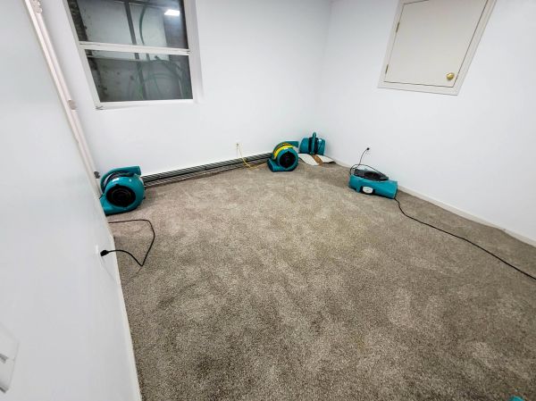 Cost of Flood Restoration Service in Orange