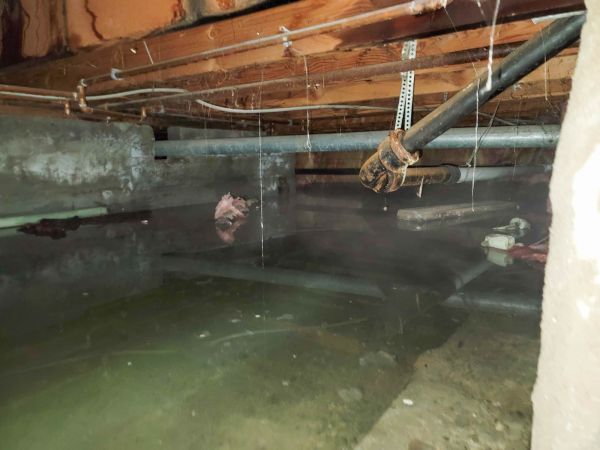 Cost of Water Mitigation Service in Orange