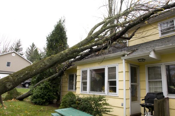 Hurricane Damage Repair in Orange