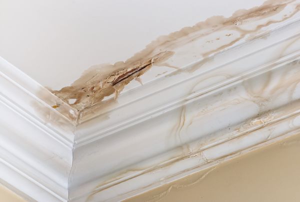 Cost of Water Damage Recovery in Orange